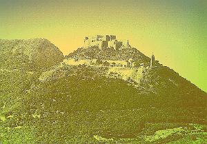 ORAN 02321